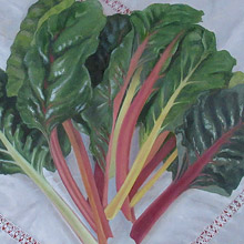 Chard